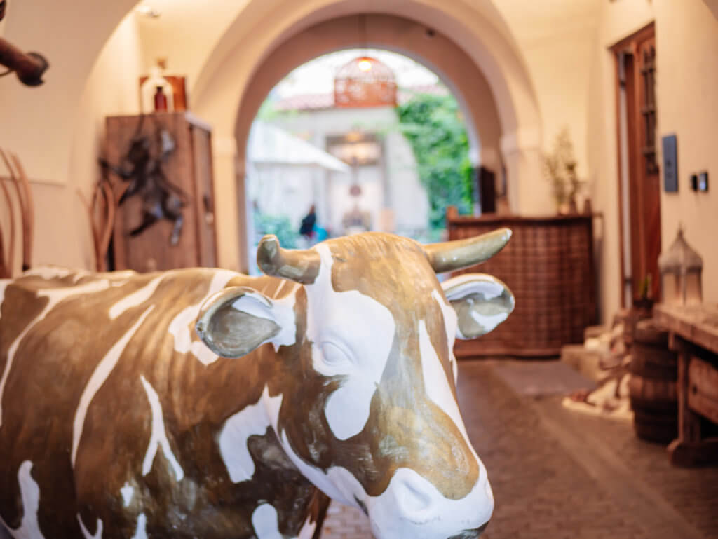 Entrance to apartments MOOo by the castle in Prague city