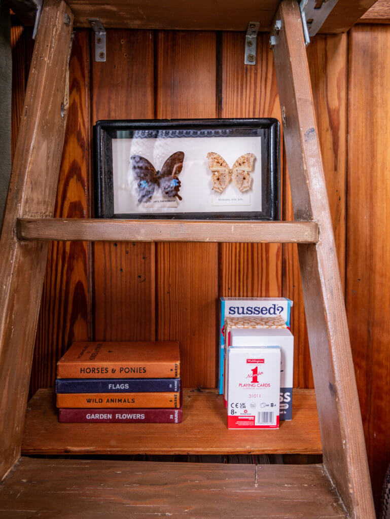 Framed display of butterflies in The Oat Box in Northern Ireland.