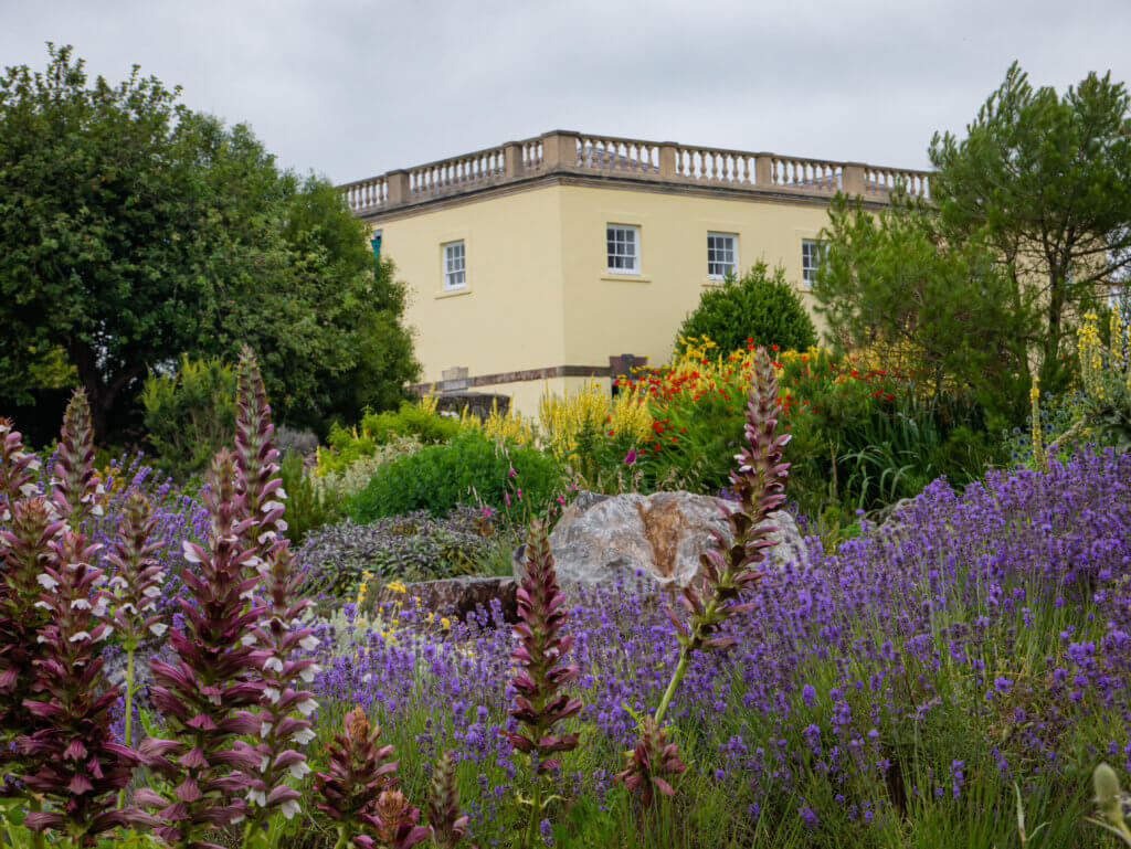 Flowers in the National Botanic Garden of Wales the perfect pitstop on a Wales roadtrip