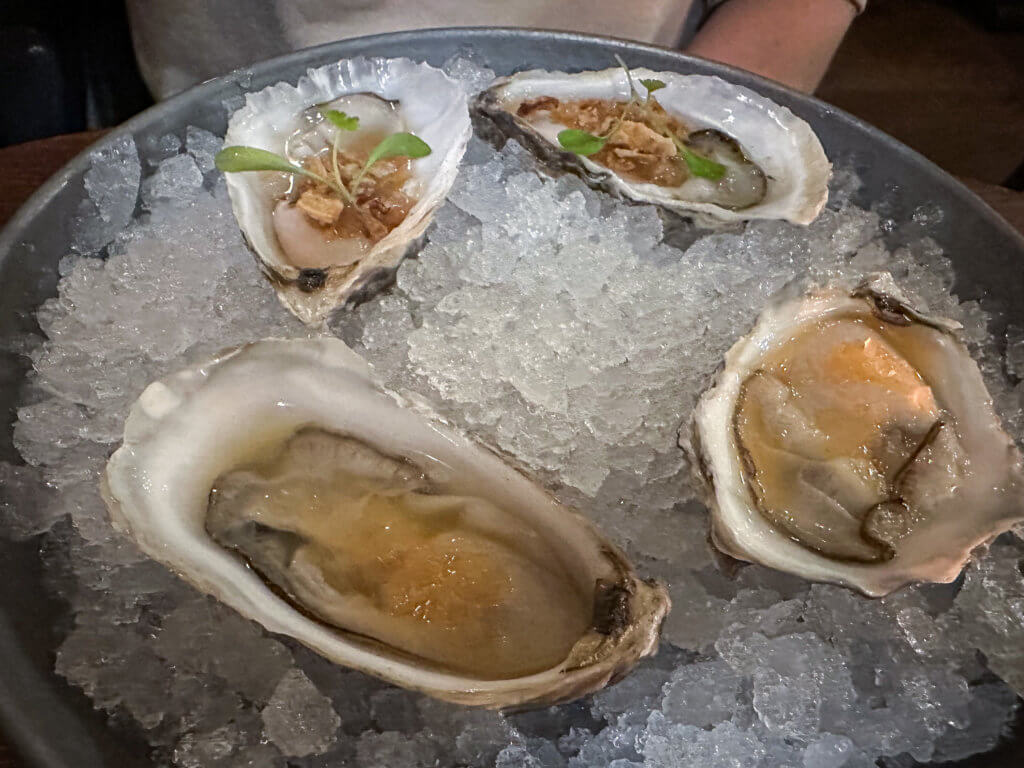 Oysters on ice