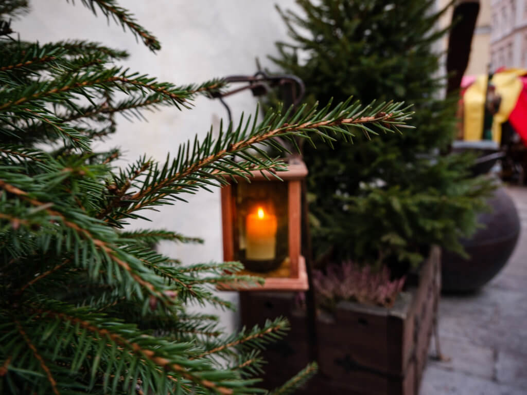 Candle in a wooden lantern at Olde Hansa medieval restaurant in Tallinn. A close-up, shallow-depth-of-field shot of a festive winter scene in Tallinn, Estonia. In the foreground, green pine needles of an evergreen branch are sharply in focus.
Just behind the branch, a small wooden lantern with glass panes hangs against a white wall, containing a glowing, lit candle that provides a warm orange light. In the blurred background, another small evergreen tree sits in a dark wooden planter, and a hint of a red and yellow market stall is visible further down the cobblestone path.