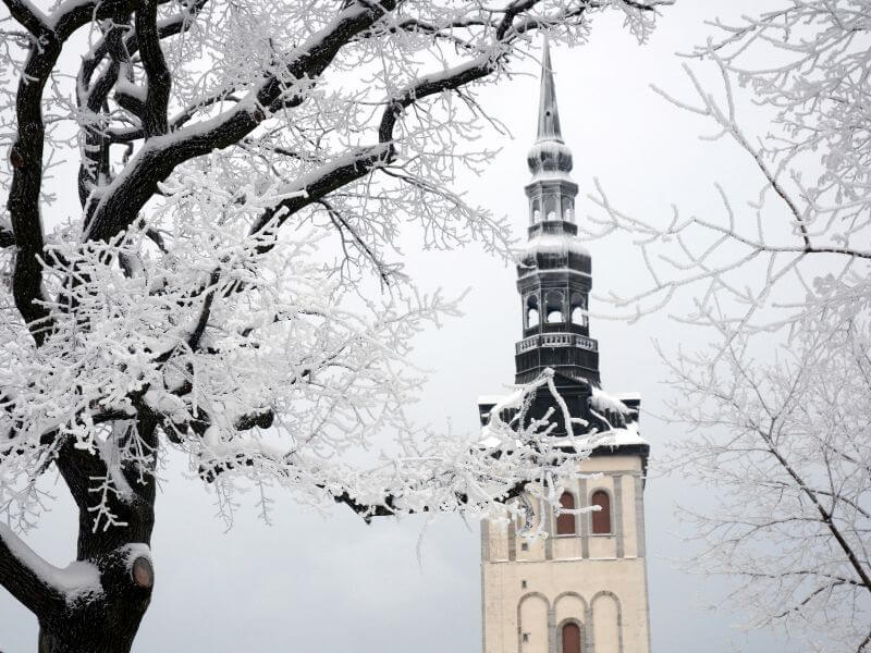 Cold Winter in Tallinn Estonia. A close-up shot of the St. Nicholas Church (Niguliste) spire in Tallinn, Estonia, framed by the frost-covered branches of a large tree in the foreground. The intricate, dark tiered spire and the beige stone tower are dusted with white snow against a pale, overcast sky. The delicate white rime ice on the tree branches creates a lacy, wintry texture across the frame.