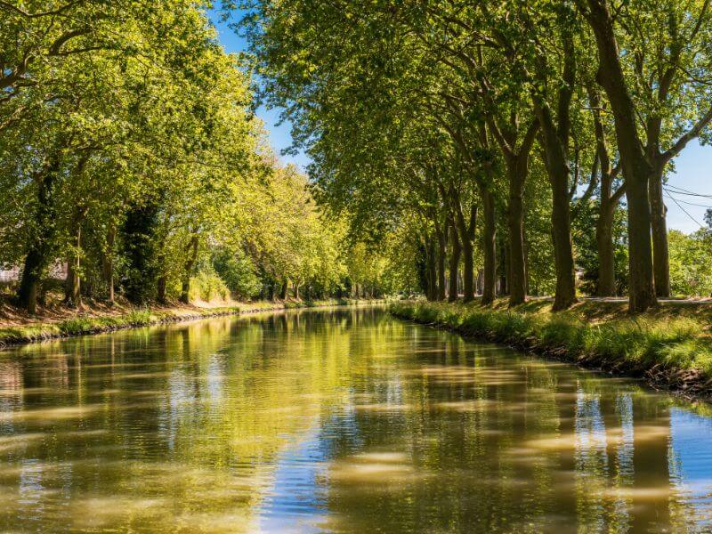 Trees lining the Canal du Midi a UNESCO Heritage Site in Carcassonne.