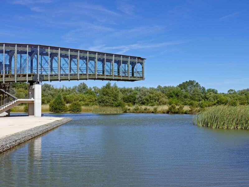 Nature Parks and the Salburua Wetlands: A Wildlife Sanctuary in Vitoria Gasteiz