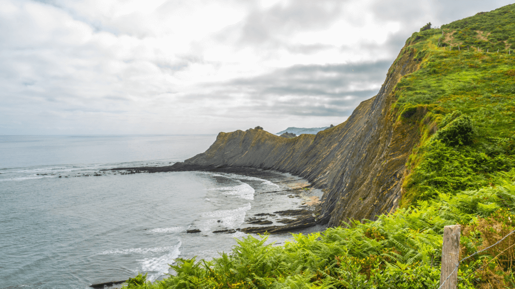 A dramatic coastal landscape featuring the Flysch cliffs of the Basque Country. Steep, jagged rock formations with visible horizontal geological layers plunge into the Atlantic Ocean. A small, curved bay is visible at the base of the cliffs where waves crash against rocky outcrops. The foreground and the tops of the cliffs are covered in lush green ferns and grass, while the sky is filled with soft, overcast clouds.