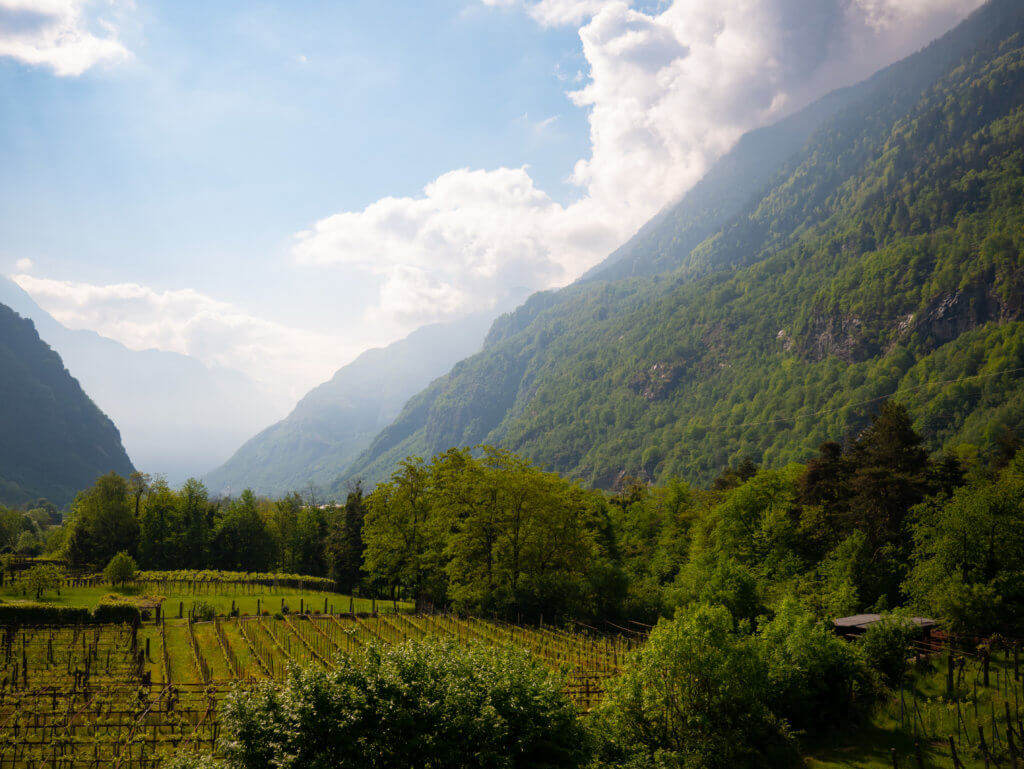 Views of the Swiss landscape and vineyards from the panoramic train the Gotthard Panorama Express