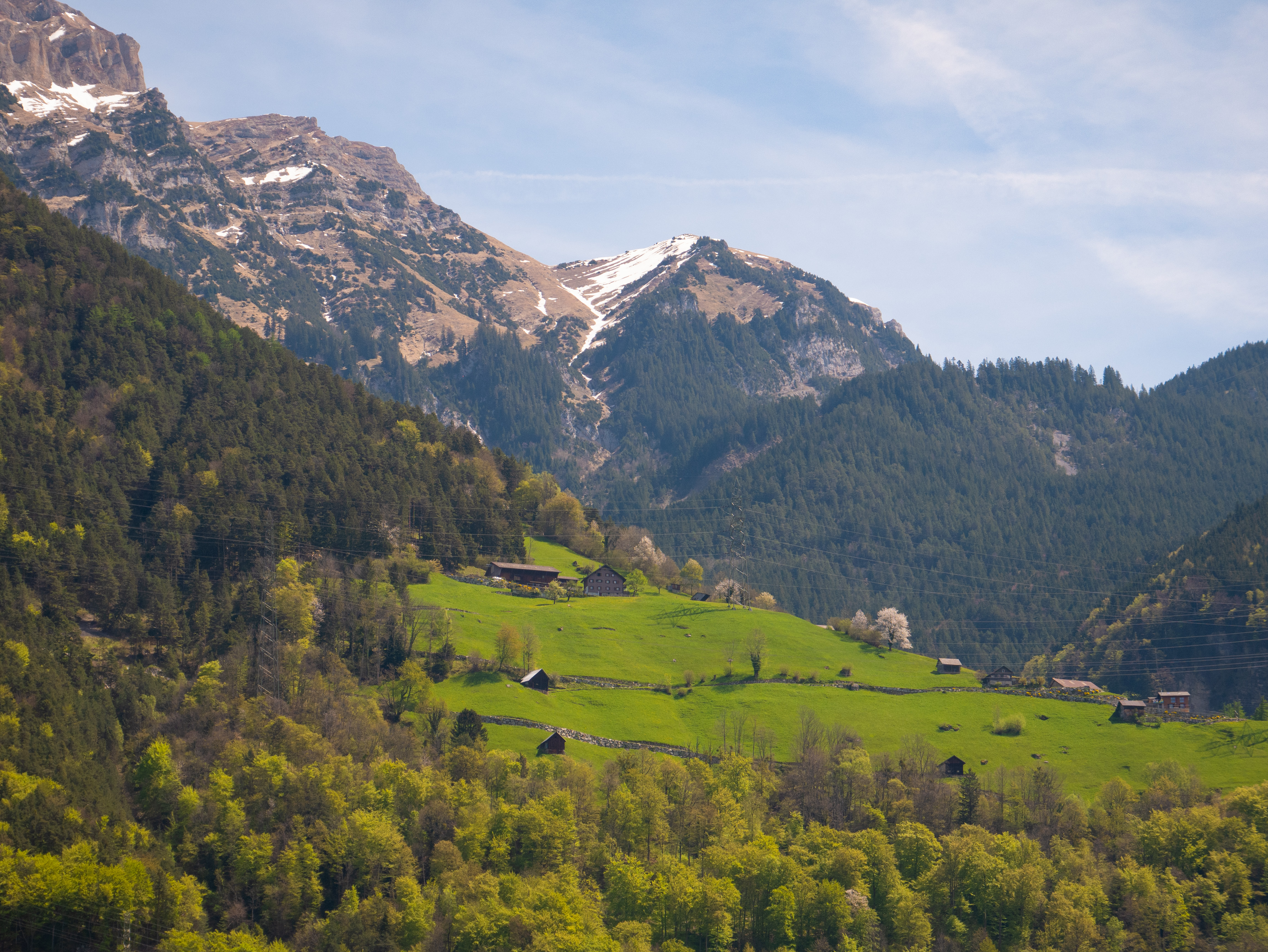 Wooden houses on the hillsides of Lake Lucerne