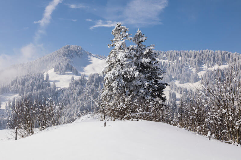 Swiss Alps covered in snow