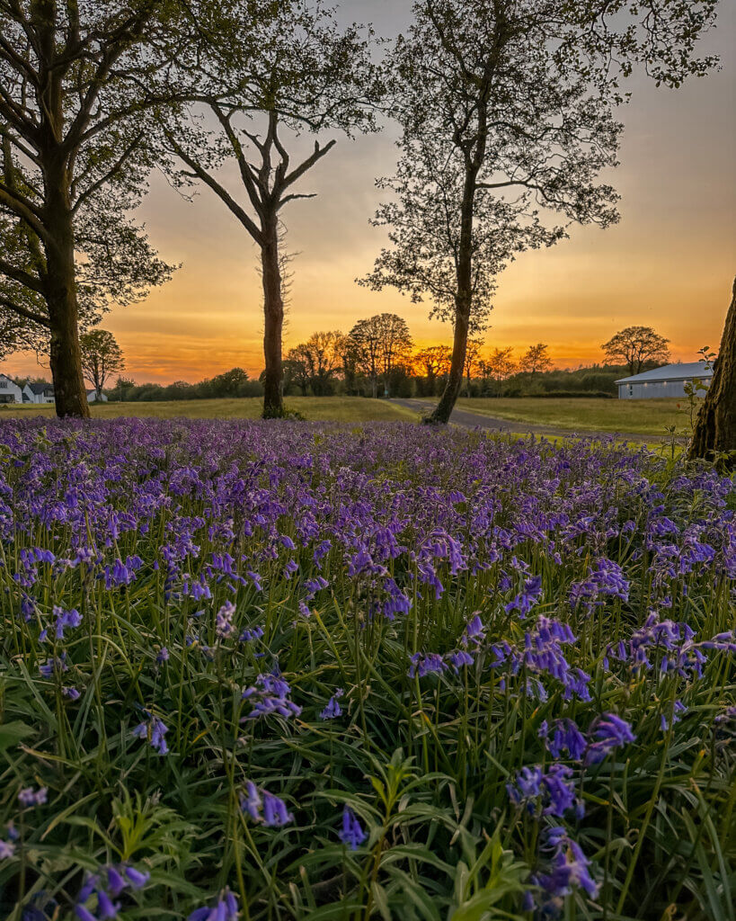 Mullans Bay Fermanagh Northern Ireland.