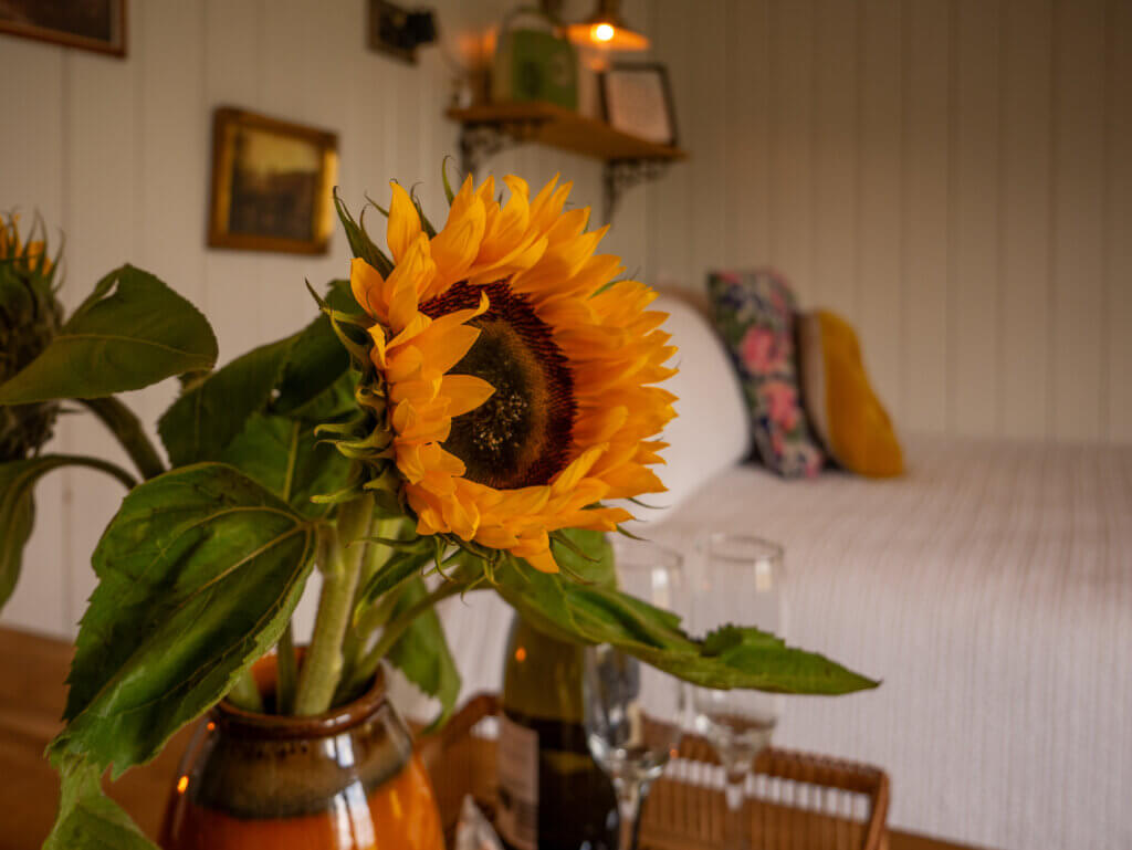 Sunflowers in a vase