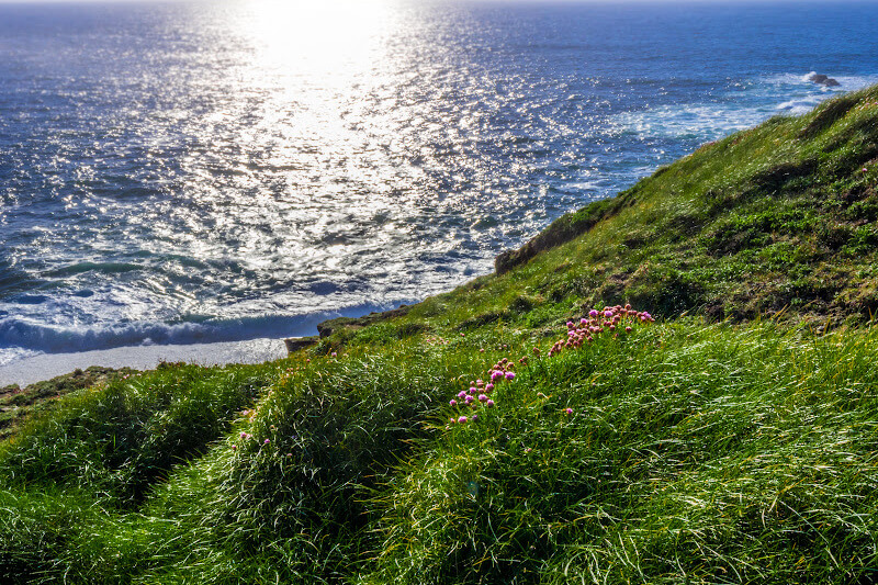Lush green fields meet the rugged cliffs on the Kilkee Cliff Walk. Lush green fields meet the rugged cliffs on the Kilkee Cliff Walk.