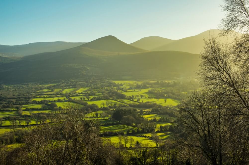 Golden Vale’s rolling hills under a clear blue sky.