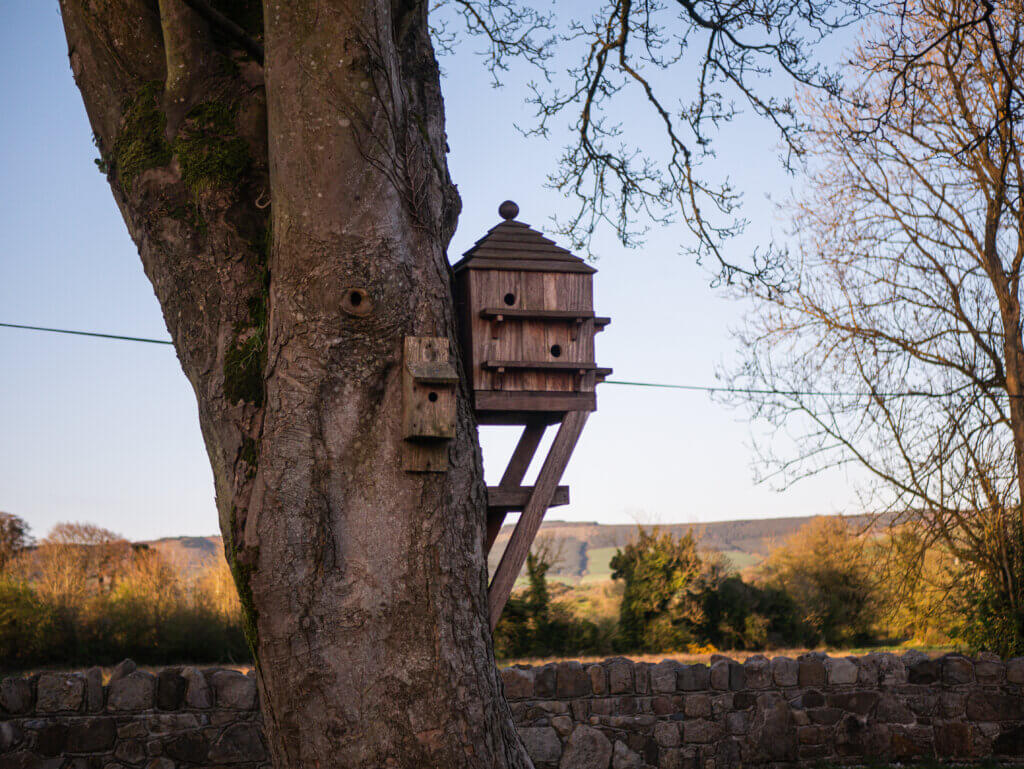 Wooden birdhouse on a tree at Meadow View Farmhouse in Tipperary.