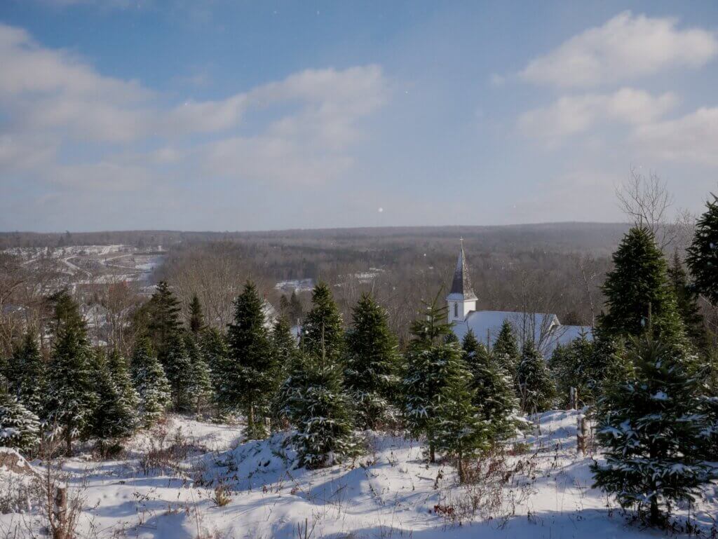 Snowy scene of a church spire surrounded by Christmas trees in New Ross, Nova Scotia.