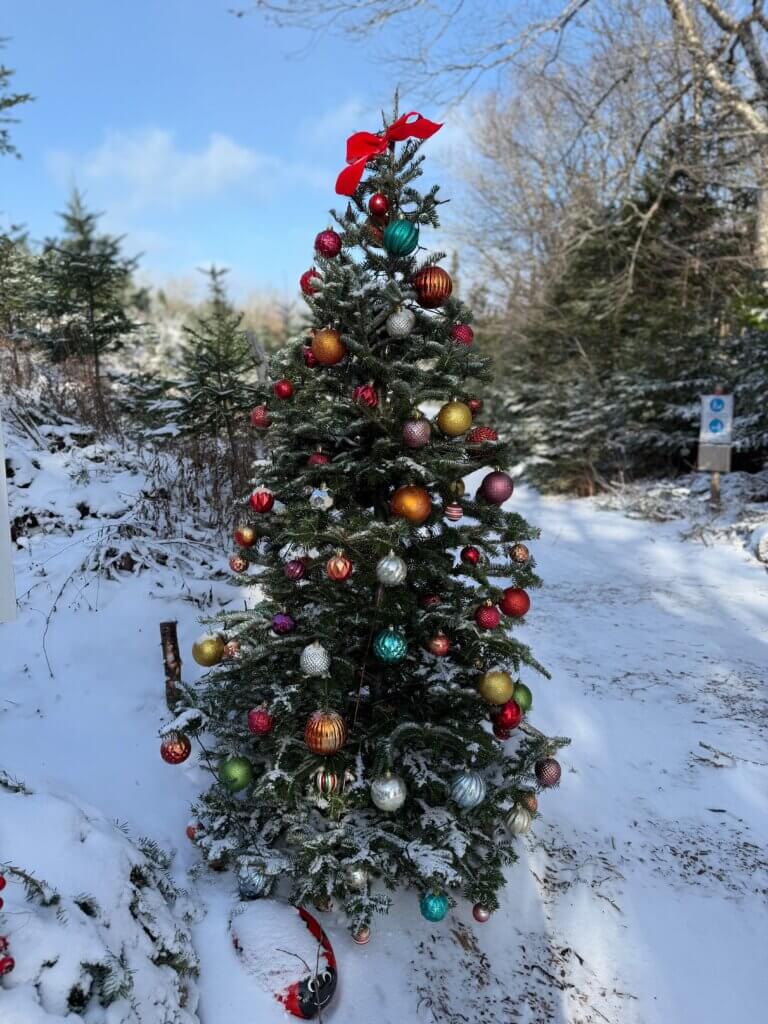 Christmas tree decorated with baubles in New Ross, Nova Scotia.
