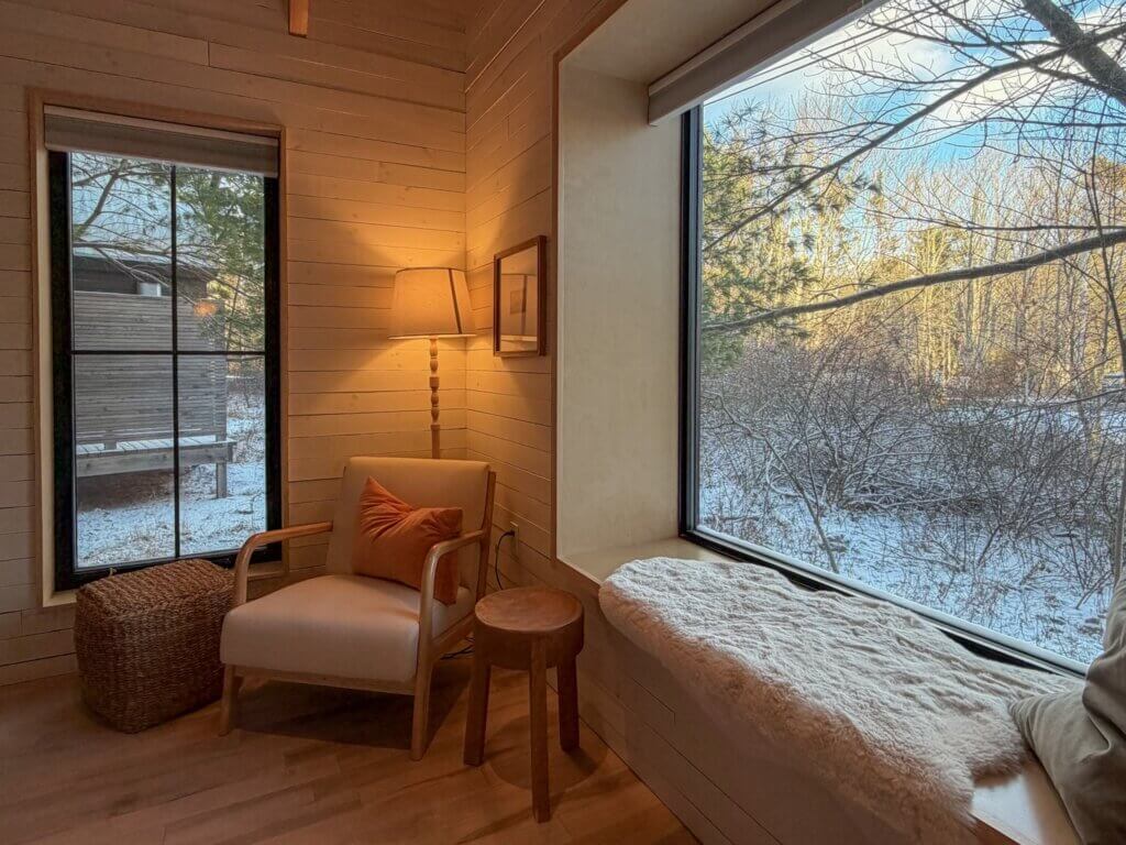 Snowy forest scene from the window of a cabin in Nova Scotia.