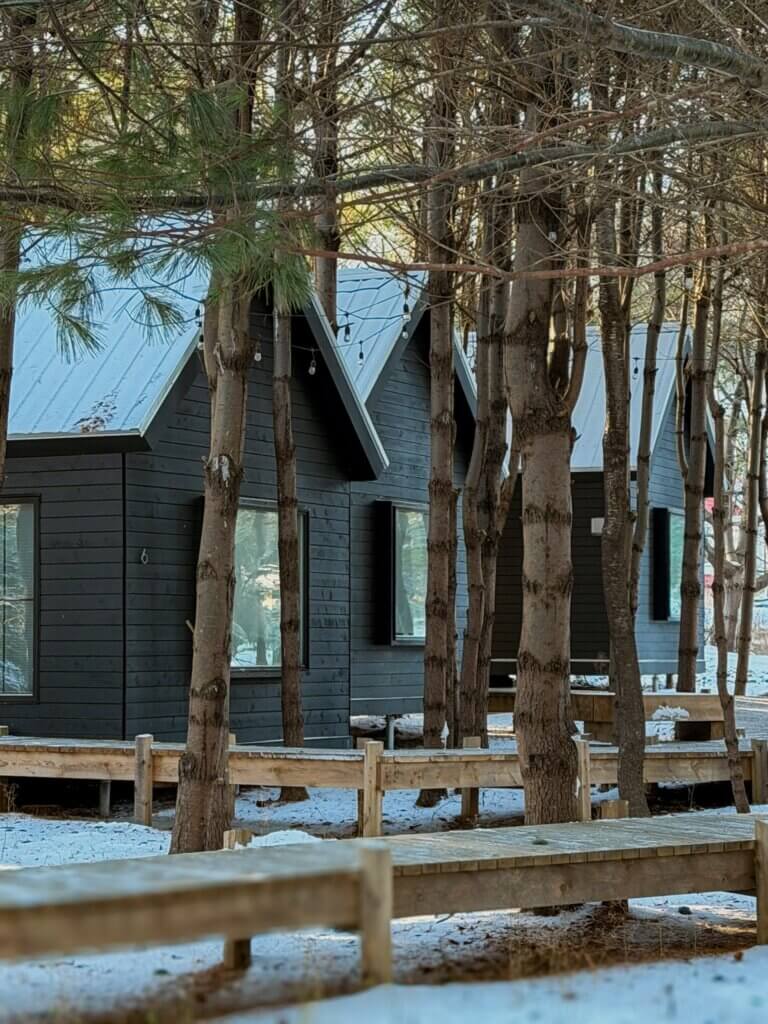 Exterior of Black Forest Cabins in Nova Scotia through the trees.