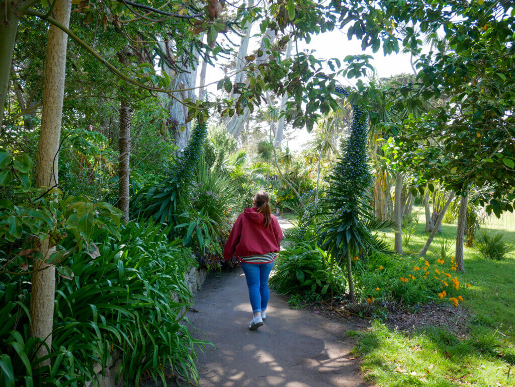Rear view of a woman in a red jacket walking along a paved path in the Jardins Georges Delaselle on Île de Batz, surrounded by dense green vegetation, tall exotic plants, palm trees, and patches of orange wildflowers under bright sunlight.