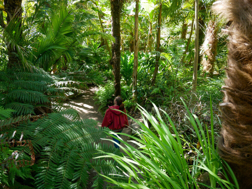Rear view of a woman in a red jacket walking down a shaded dirt path in the Jardins Georges Delaselle on Île de Batz, completely surrounded by a dense, jungle-like canopy of large green ferns, palm trees, and tropical foliage.