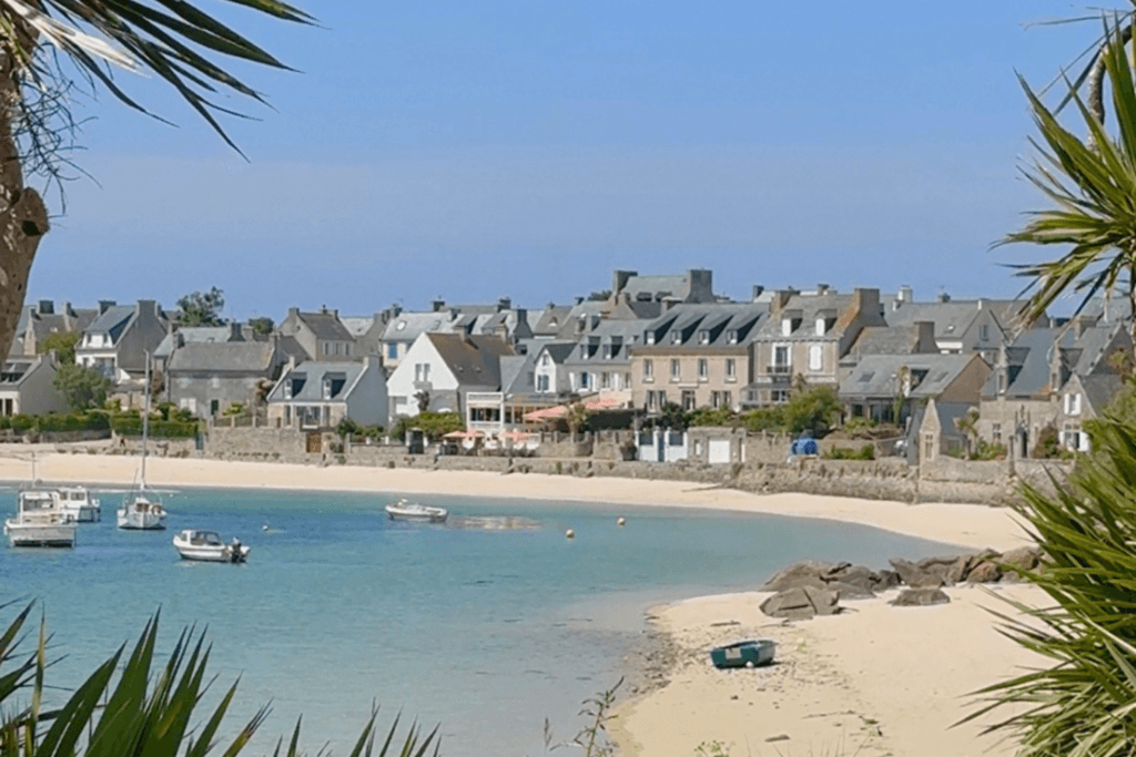 A scenic view of a curved white sand beach and traditional stone houses in the village of Île de Batz, with small boats moored in clear turquoise water, framed in the foreground by spiky green palm fronds under a clear blue sky.