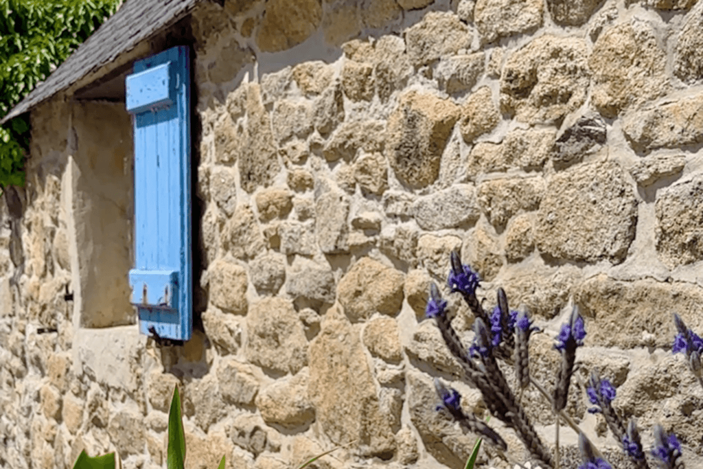 A close-up, angled view of a traditional Breton stone cottage wall on Île de Batz, featuring a single window with a bright blue wooden shutter, with sprigs of purple lavender flowers blooming in the soft-focus foreground under bright sunlight.
