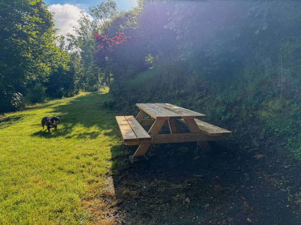 A wooden picnic table sits on a sunny grassy path next to a lush hillside, with a n English bulldog wearing a pink harness standing in the grass to the left.