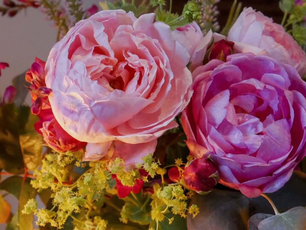 A bouquet of pink peonies.