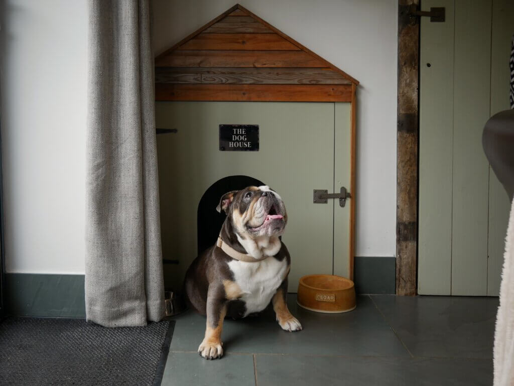 An English Bulldog sits outside a built-in, light sage green dog house that features an arched entryway. Above the opening, a small black sign reads "THE DOG HOUSE" in white lettering. To the right of the entryway, a brown ceramic dog bowl has a nameplate that reads "CEDAR". A silver metal bowl sits to the left near a textured grey curtain, and a couple of colourful dog toys lie on the floor of the dog house entrance.