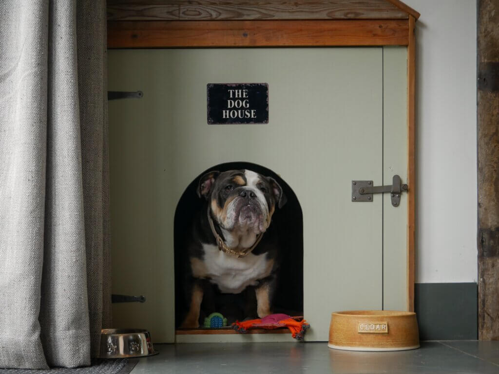 An English Bulldog stands inside a built-in, light sage green dog house that features an arched entryway. Above the opening, a small black sign reads "THE DOG HOUSE" in white lettering. To the right of the entryway, a brown ceramic dog bowl has a nameplate that reads "CEDAR". A silver metal bowl sits to the left near a textured grey curtain, and a couple of colourful dog toys lie on the floor of the dog house entrance.