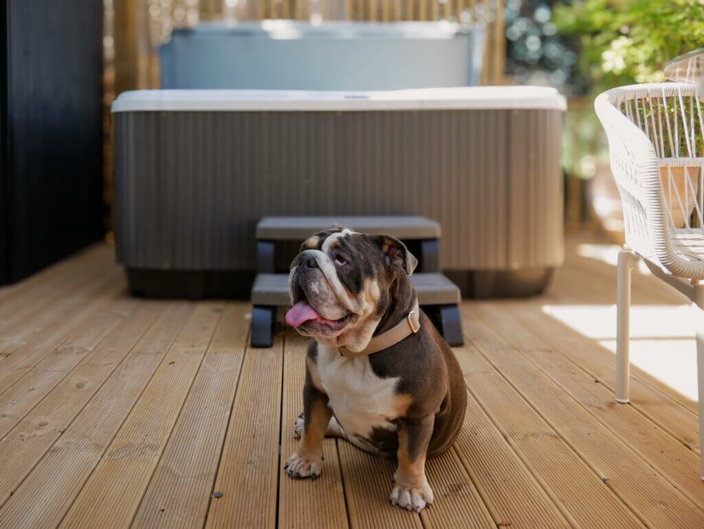 A brown and white bulldog sits contentedly with its tongue out on a sunny wooden deck in front of a grey outdoor hot tub with plastic steps.