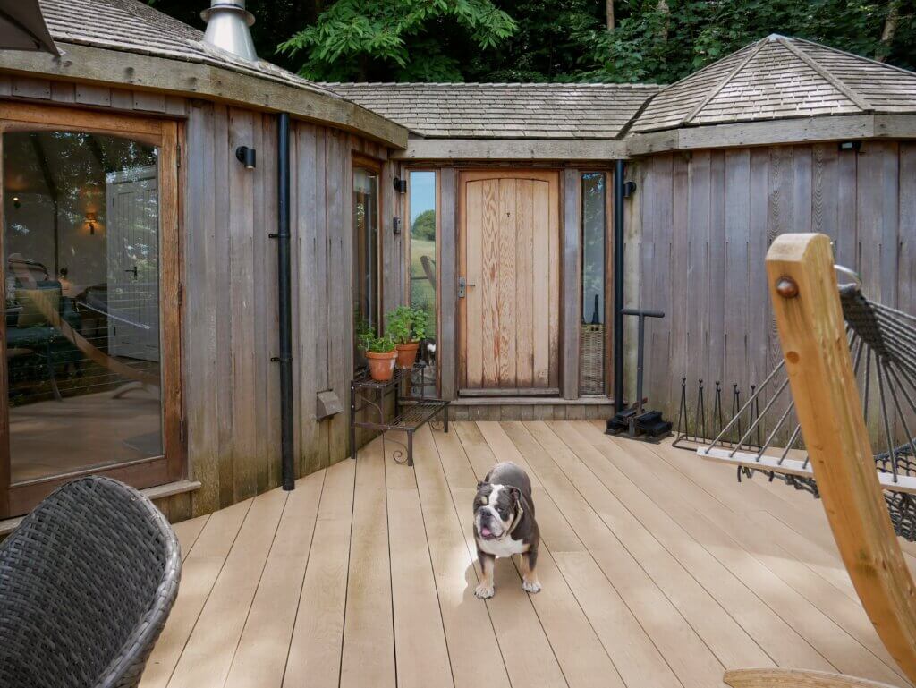 A brown and white bulldog stands on a light-coloured wooden deck outside a unique, rounded wooden treehouse with large glass windows and shingled roofs.