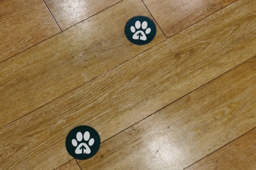 Two circular, dark green stickers placed on a light brown wooden plank floor. Each sticker features a white paw print graphic with a small arrow pointing upward inside the centre of the paw pad, serving as directional floor markers.