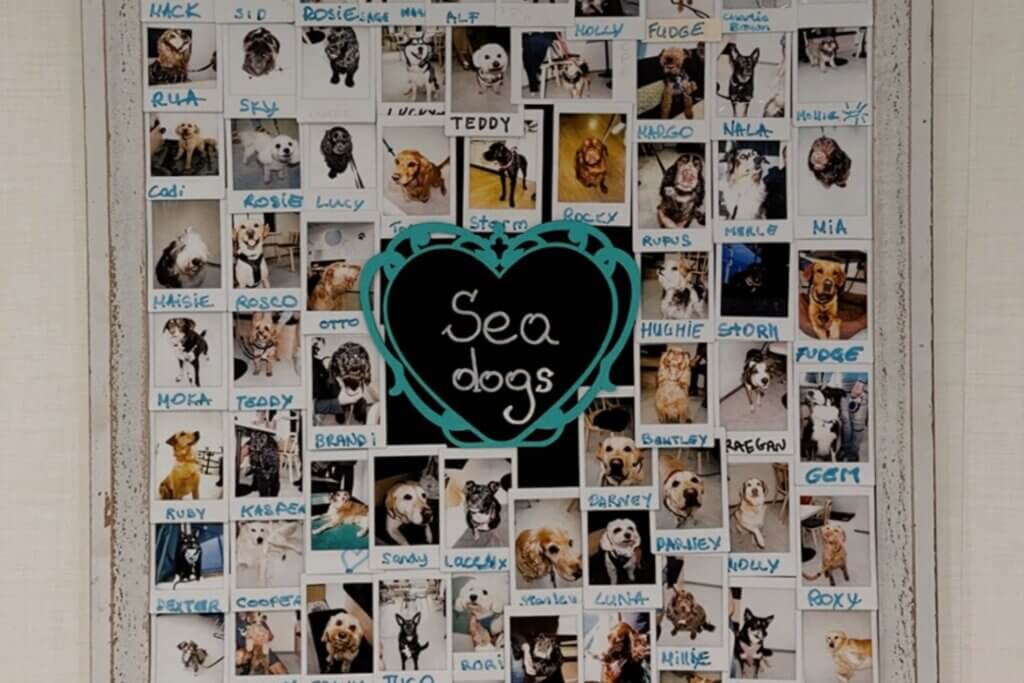 A white-framed photo collage board titled "Sea Dogs" written in cursive inside a large, turquoise heart shape. The board is covered with dozens of Polaroid-style instant photos of various dogs. Each photo has a handwritten name written on the white bottom border in blue or black ink, including names like Rua, Sky, Rosie, Lucy, Teddy, Rocky, Maisie, Rosco, Barney, and Roxy.