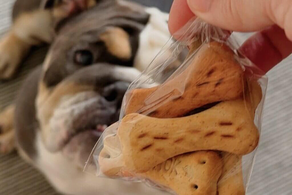 A close-up of a hand holding a clear plastic bag filled with bone-shaped dog biscuits, with a blurry bulldog looking up eagerly in the background.