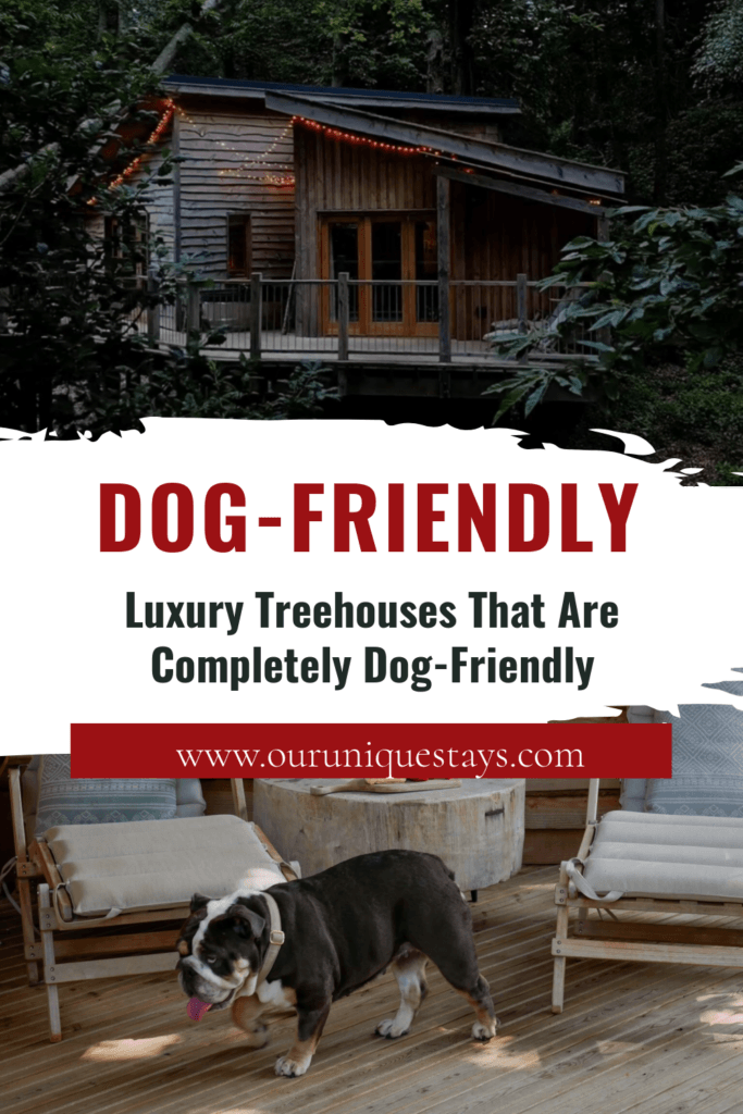 Image of a treehouse in Midhurst with text overlay Luxury Treehouses That Are Completely Dog-Friendly