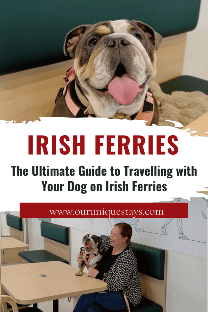 Image of an English Bulldog with text overlay The Ultimate Guide to Travelling with Your Dog on Irish Ferries