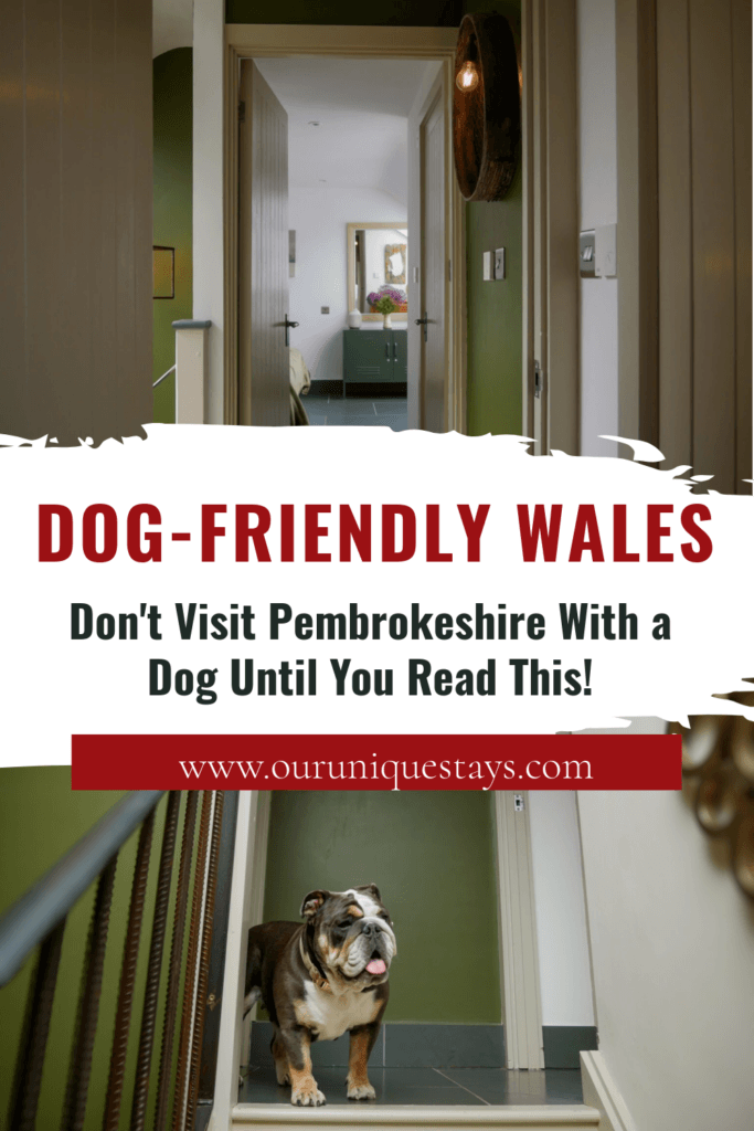 Images of The Longbarn Wales with text overlay "Don't Visit Pembrokeshire With a Dog Until You Read This!."